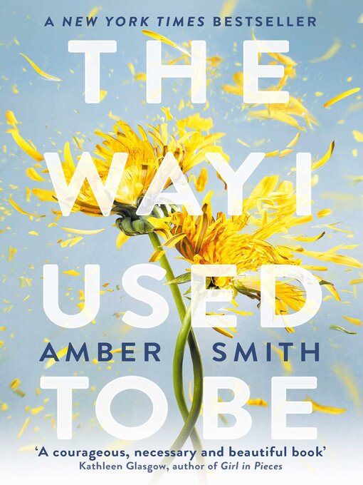 Title details for The Way I Used to Be by Amber Smith - Wait list